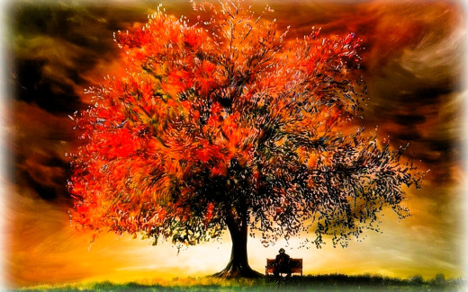 �1756946 �������(a): ����������:1920x1200